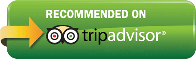 Trip Advisror